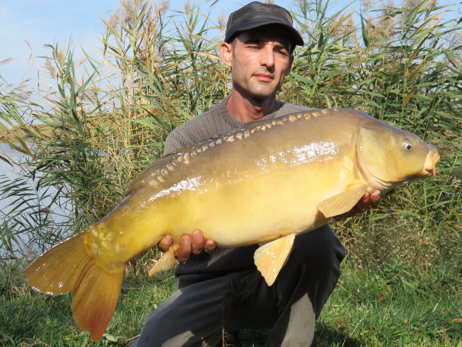 The best pictures of 2013 - 9,020